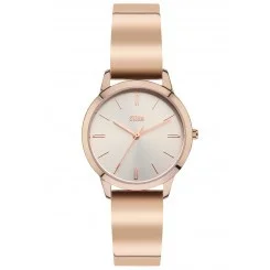 Hetty (NETTY) RG/Silver